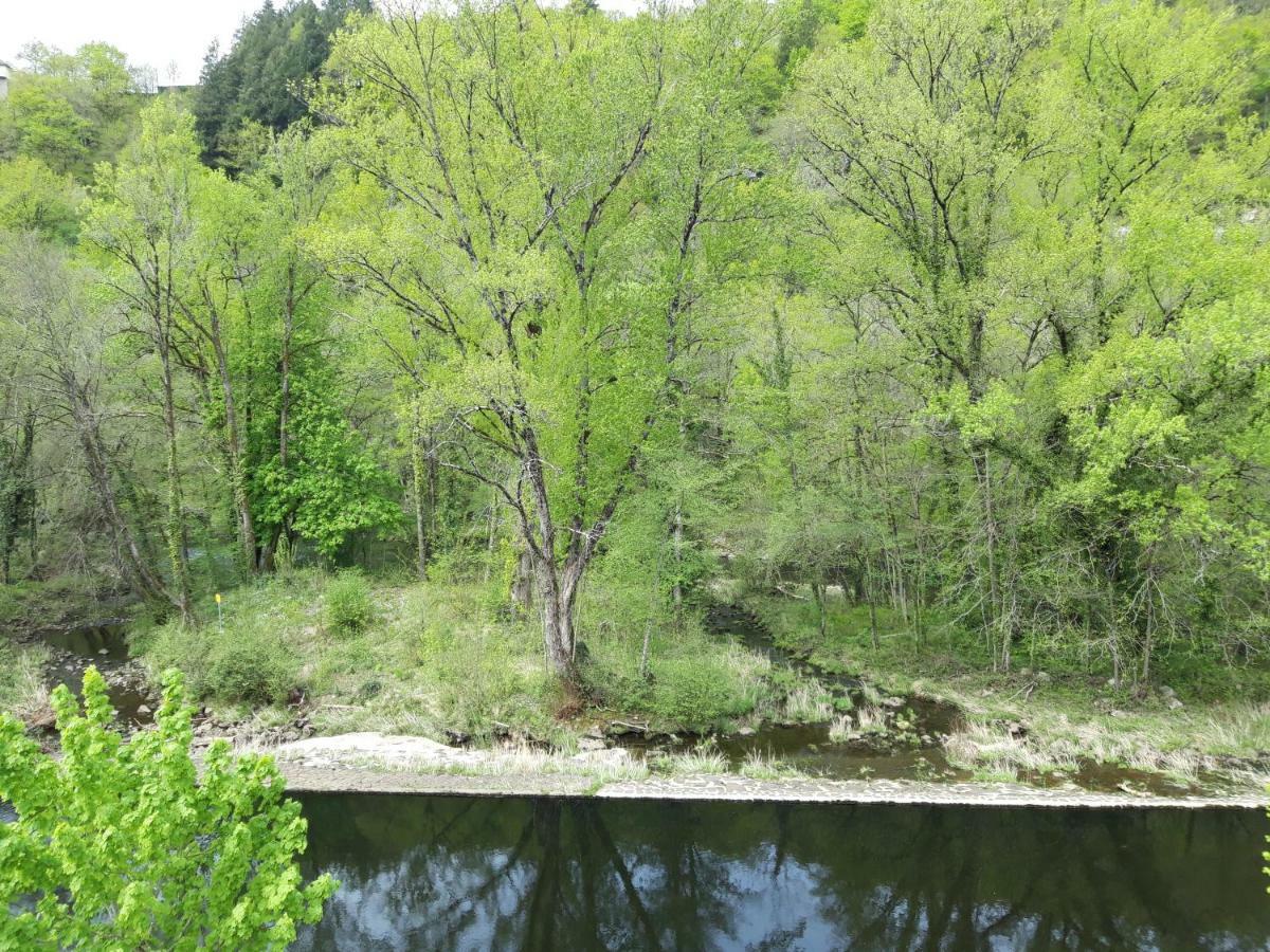 Gite De Truyere Villa Entraygues-sur-Truyere Luaran gambar